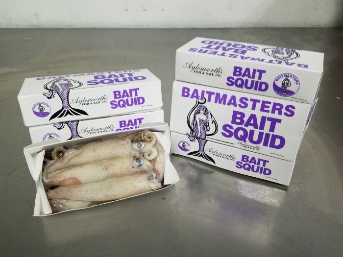 Bait Masters: The Art and Science Behind Custom Fishing Baits
