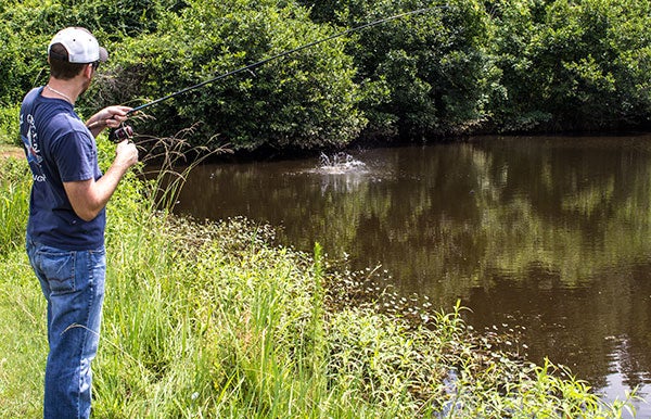 Bank Fishing: A Complete Guide to Shore Angling Techniques and Gear
