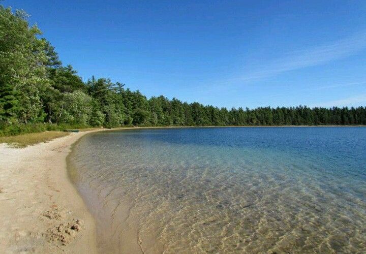 Bass Lake Michigan: A Complete Guide to Fishing, Access, and Ecology