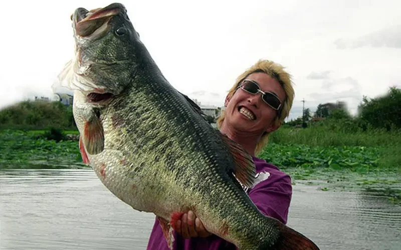 The Biggest Bass Caught Ever: World Records and Legendary Catches