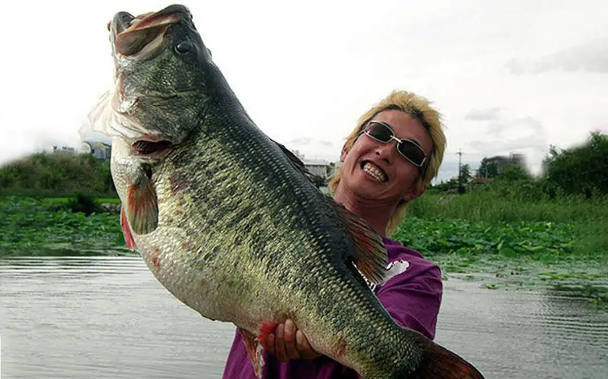 The Biggest Bass in World: Record Catches and the Quest for a 25-Pounder