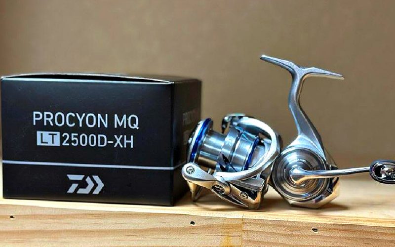 Daiwa Procyon Reel Review: Mid-Range Performance and Real-World Value