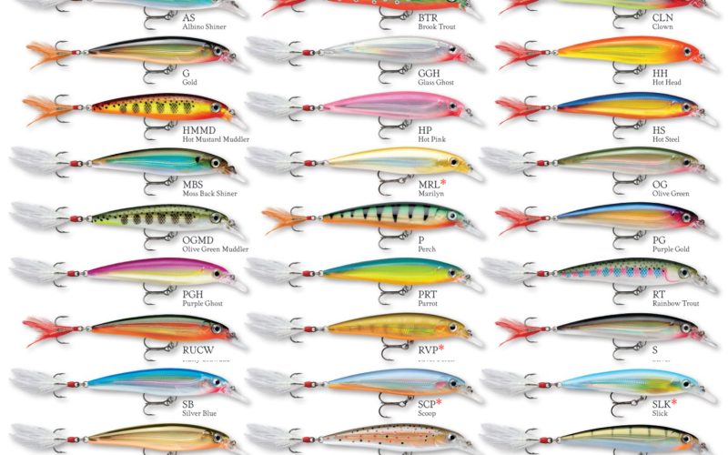 Fishing Rapala Lures: A Complete Guide to the Finnish Brand’s History and Models