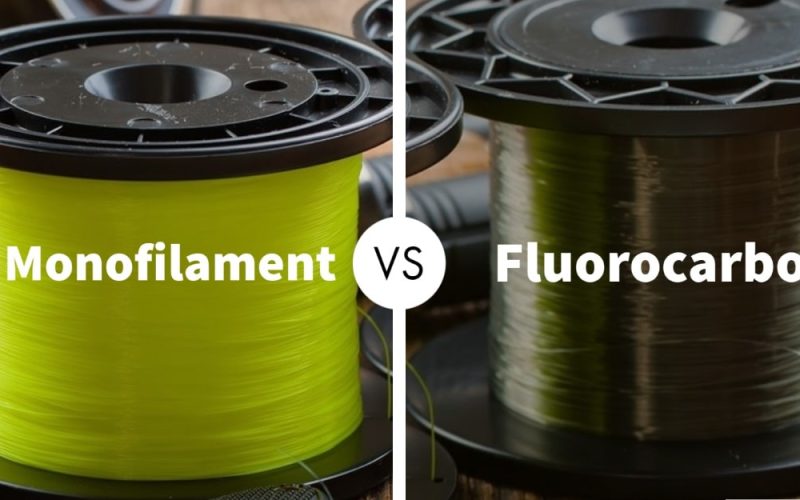 Fluorocarbon vs Monofilament Fishing Line: Key Differences and Best Uses