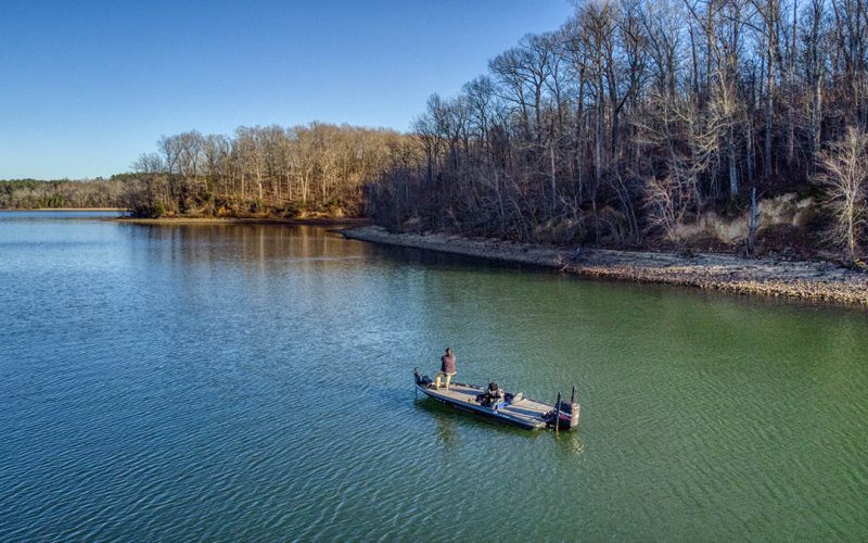 Kentucky Lake Fishing: A Complete Guide to Species, Seasons, and Hotspots