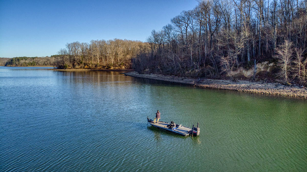 Kentucky Lake Fishing: A Complete Guide to Species, Seasons, and Hotspots
