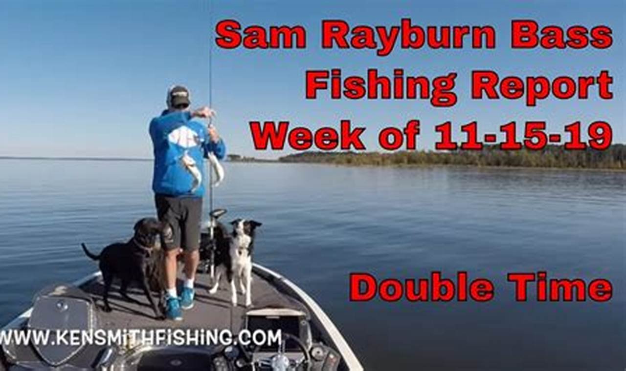 Sam Rayburn Fishing Report: Current Conditions and Expert Tips for 2024