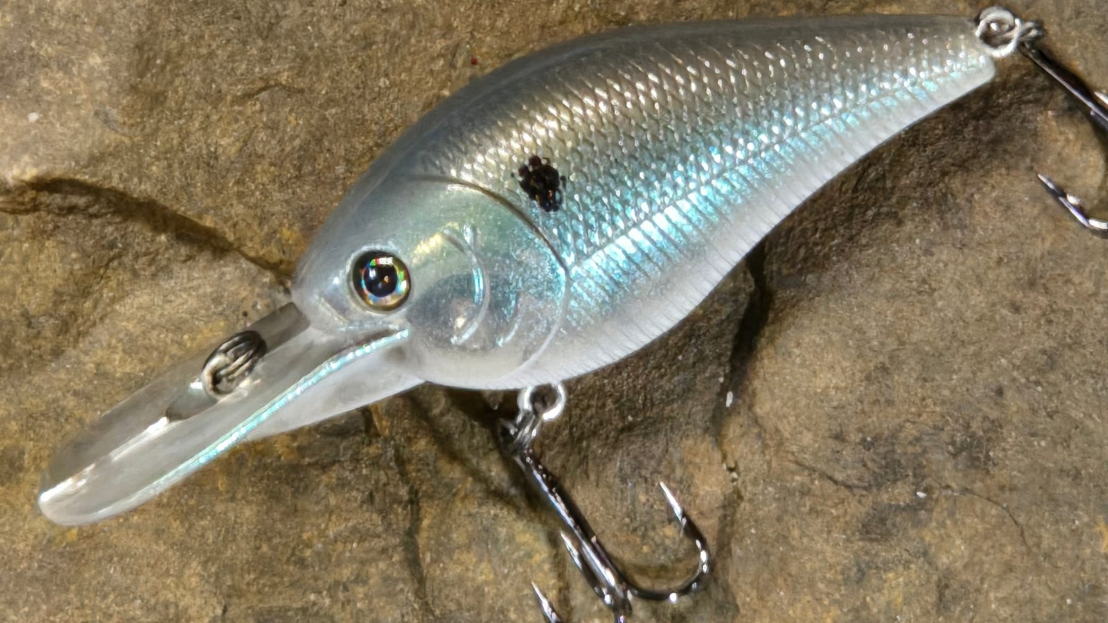 Shad Baits: How Artificial Lures Imitate Shad for Bass Fishing