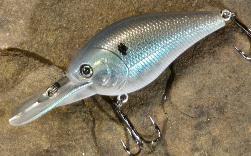 Shad Baits: How Artificial Lures Imitate Shad for Bass Fishing