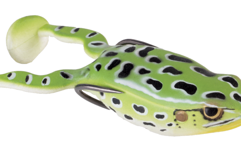 Spro Frog: The Cult Classic Character from the 2009 Game Sprogs