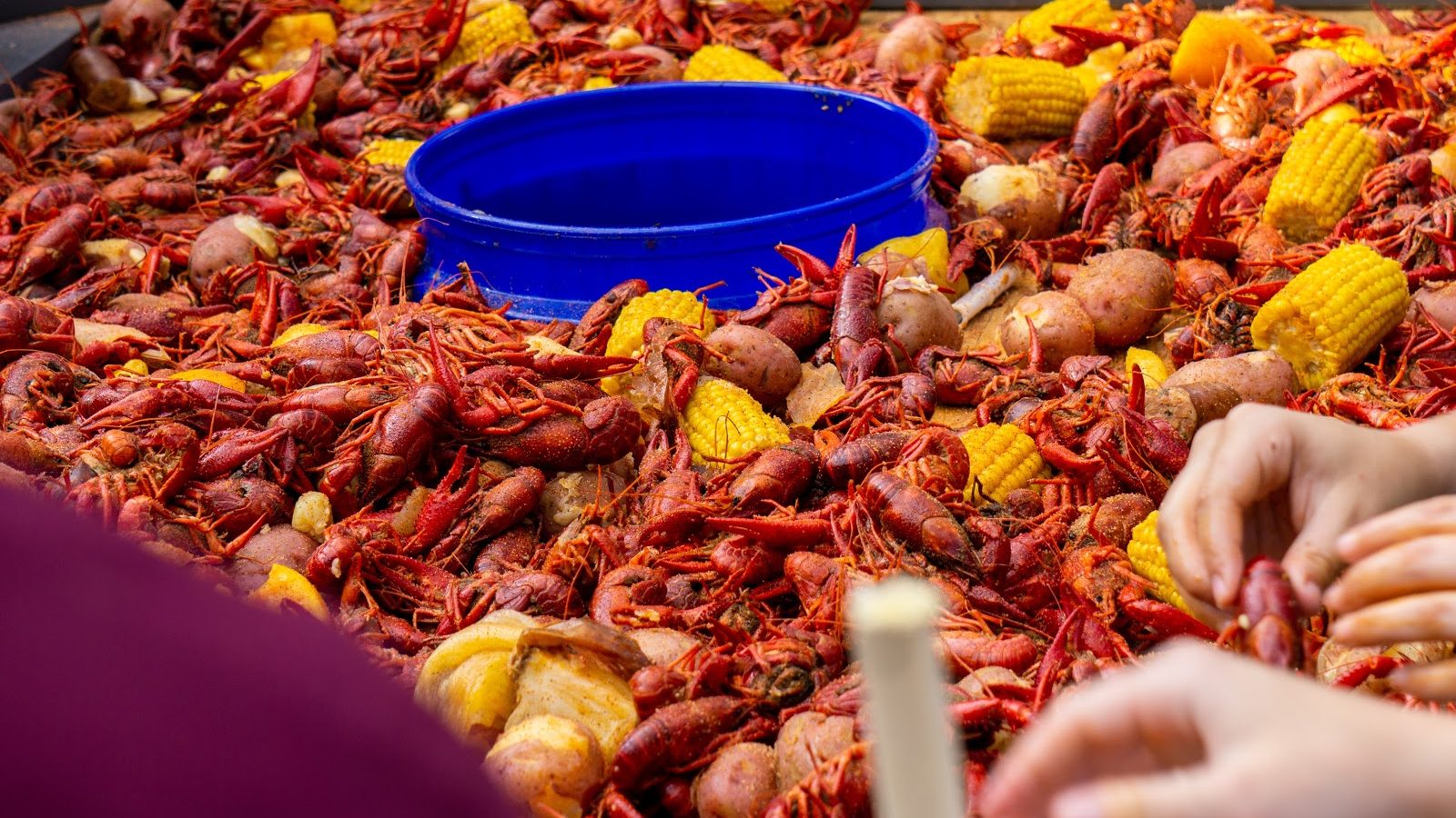 When Is the Season for Crawfish: A Complete Guide to Timing and Availability