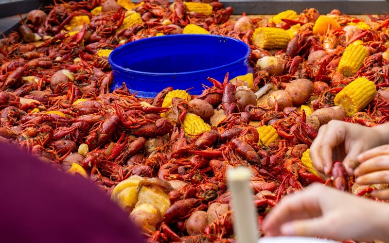 When Is the Season for Crawfish: A Complete Guide to Timing and Availability