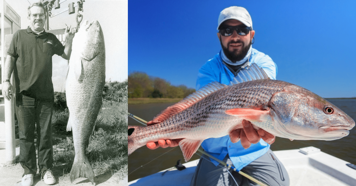 World Record Redfish: The 94-Pound Catch That Still Stands After 40 Years