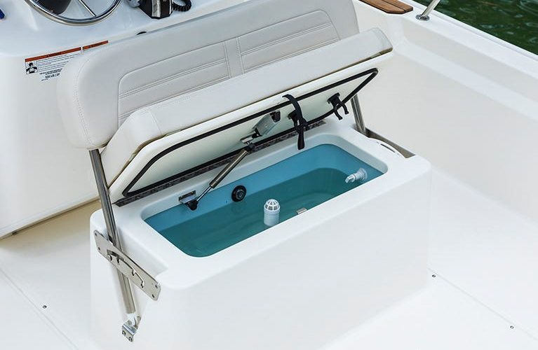 Boat Live Well Systems: How They Keep Tournament Fish Alive and Healthy